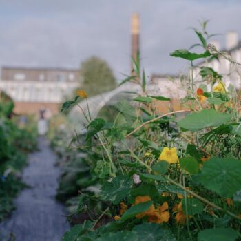 The Wash House Garden